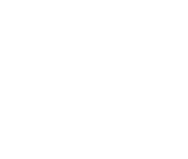 IRIS Institute